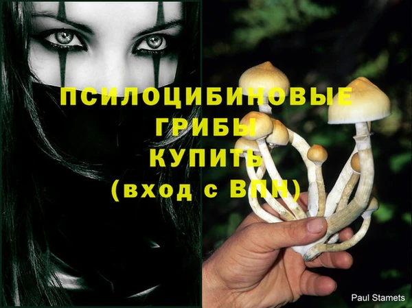 MDMA Premium VHQ Ельня